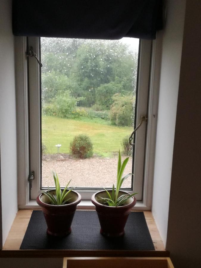 Safine B&B Faaborg Exterior photo