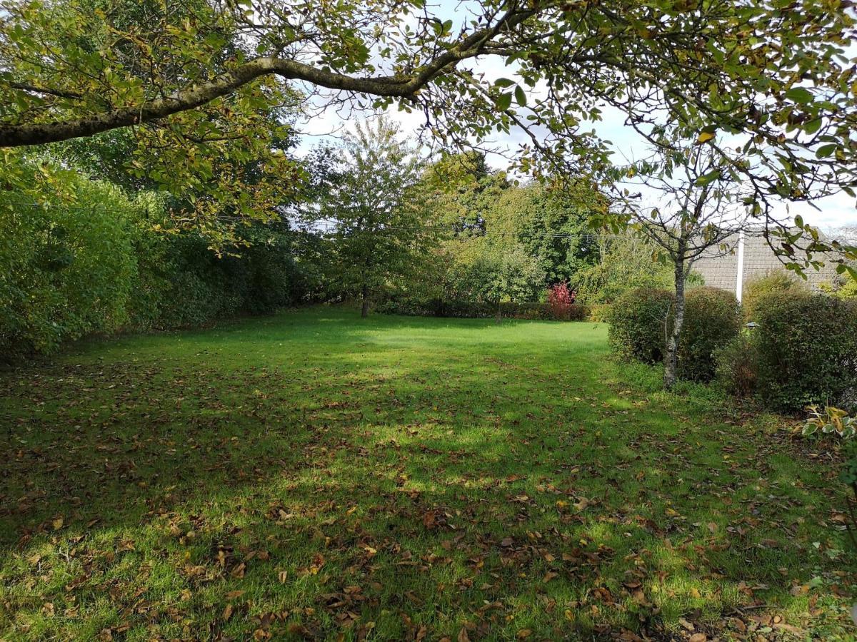 Safine B&B Faaborg Exterior photo